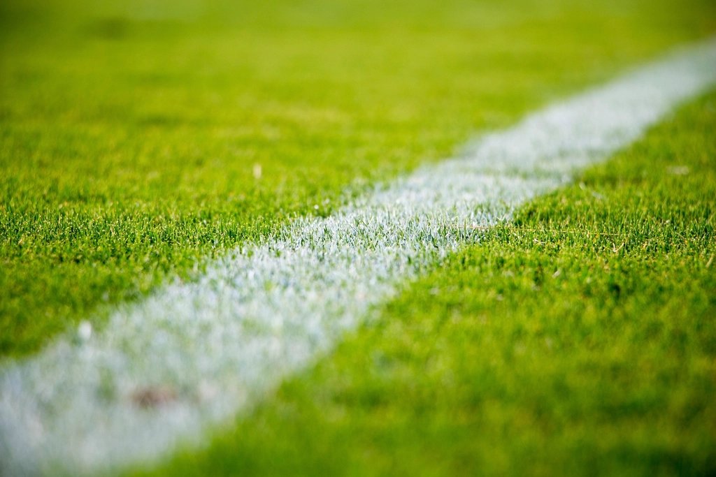Futbol sahasının çimi ve beyaz çizgisi yakın plan